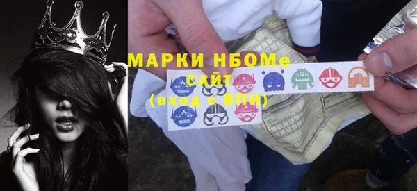 соль ск Богородицк