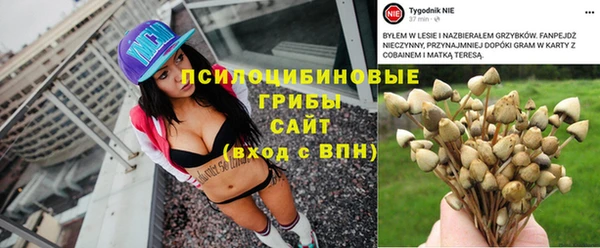 соль ск Богородицк